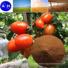 Amino Acid Chelate Iron Organic Fertilizer